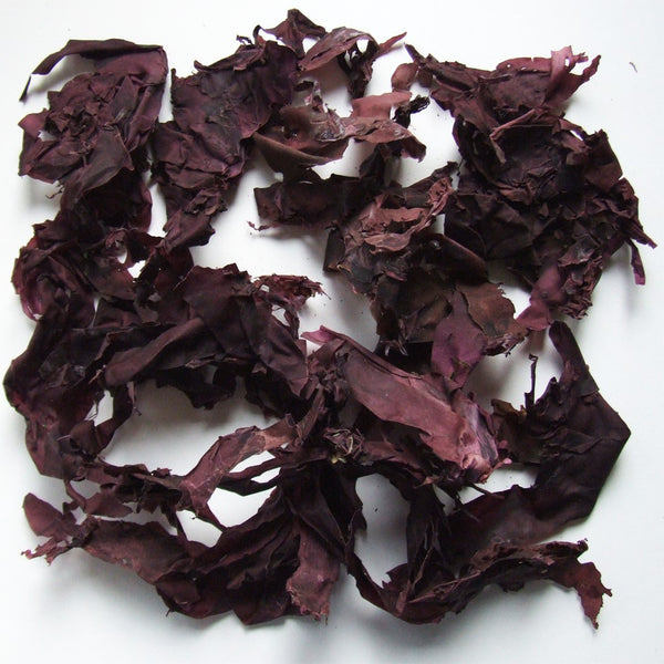 Organic Dillisk 40g