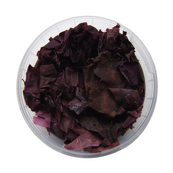 Organic Dillisk 40g