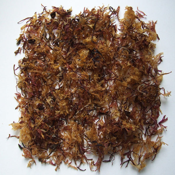 Organic Carrageen 40g