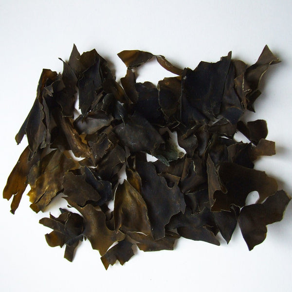 Organic Kombu Kelp 40g