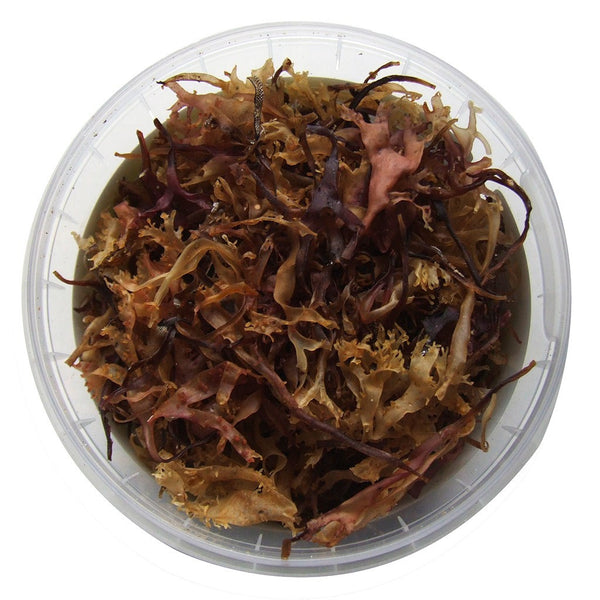 Organic Carrageen 40g